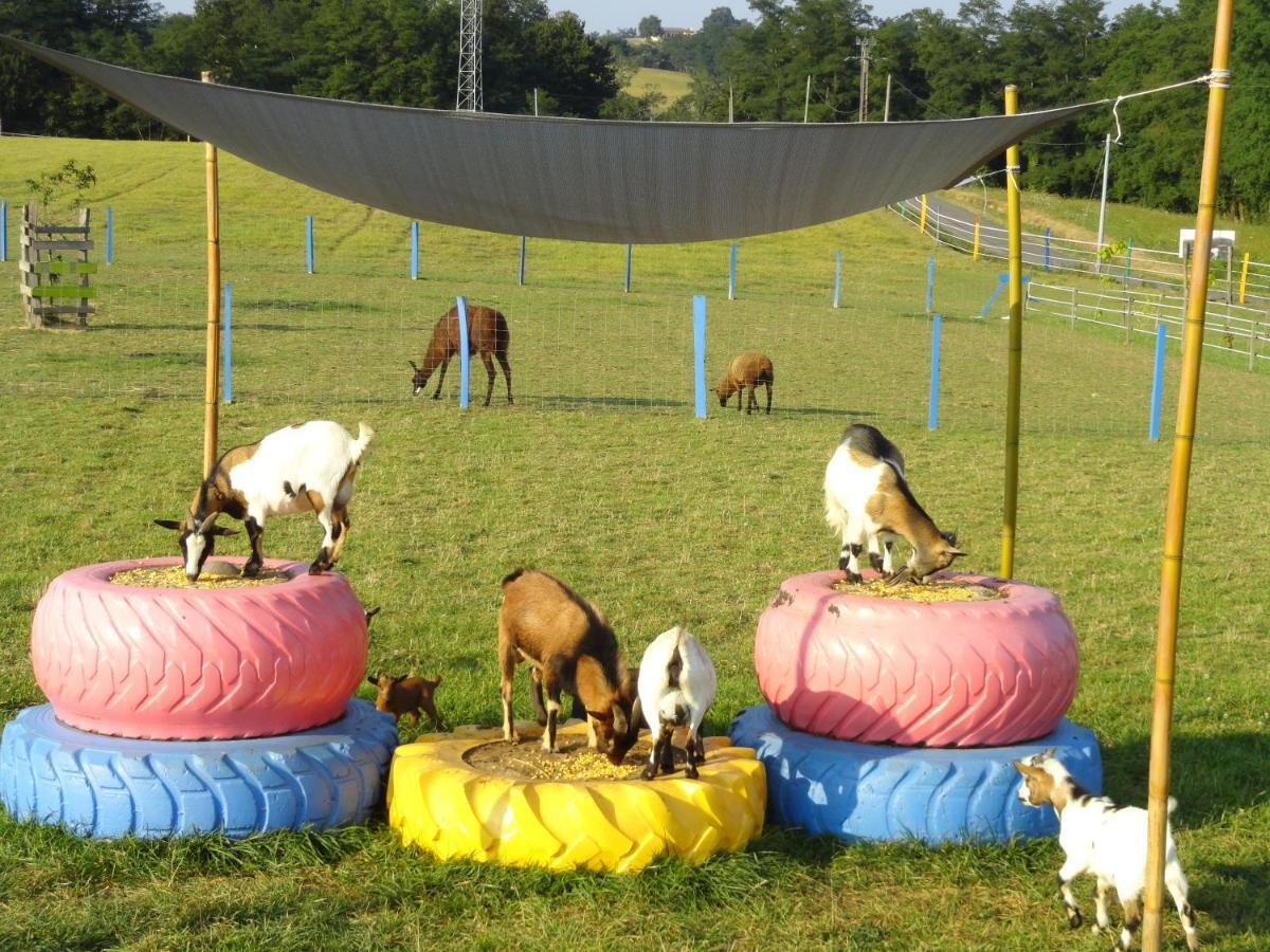 La Petite Ferme De Pouillon - Parc Animalier - Aire De Loisirs Bed & Breakfast Exterior photo
